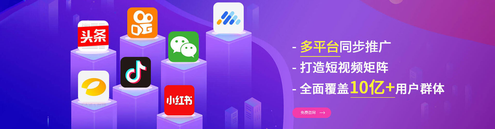 新邱竞价端口开户